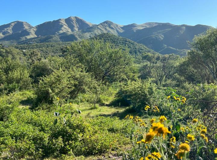 Terreno · 5000m²