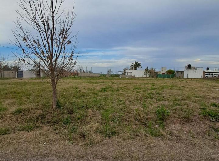Terreno · 303m²