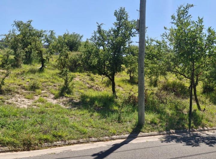 Terreno · 361m²