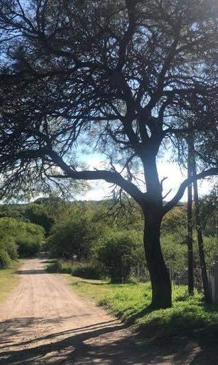 Terreno · 280m²