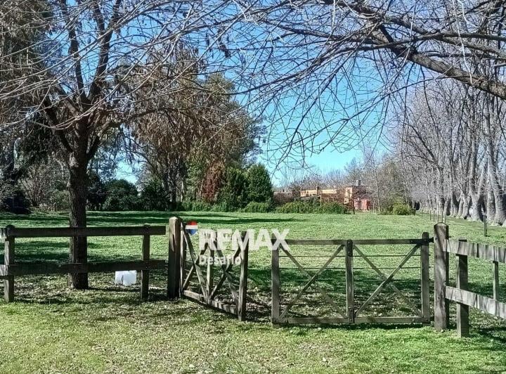 Terreno · 5000m²