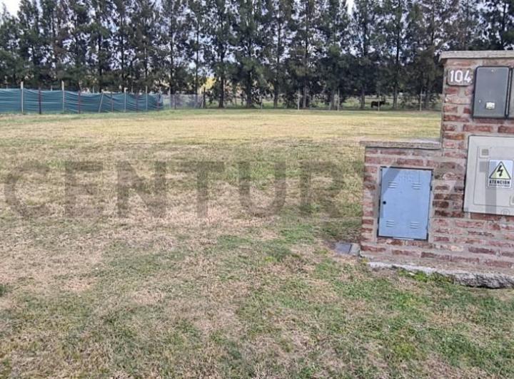 Terreno · 1184m²