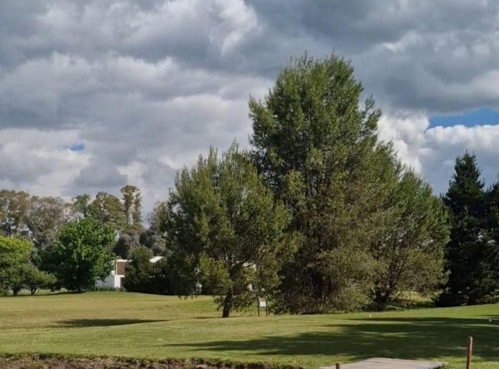 Terreno · 1585m²