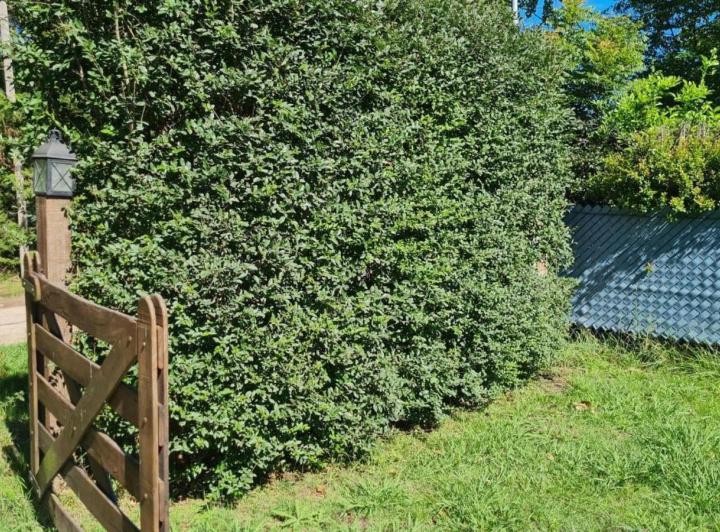 Terreno · 800m²
