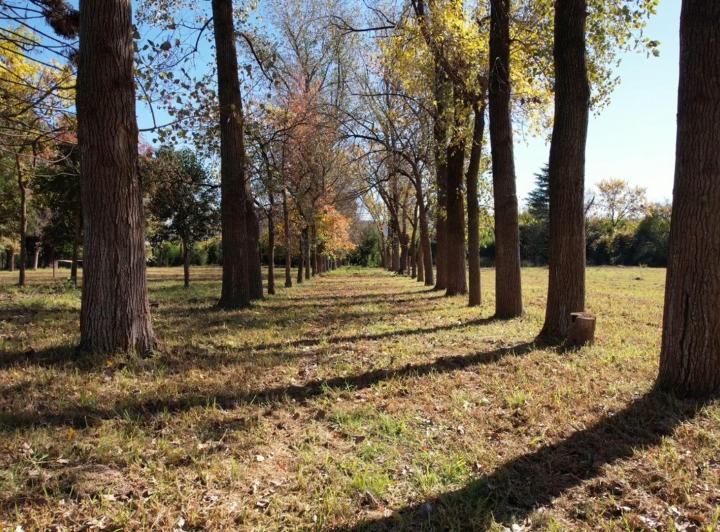 Terreno · 26100m²