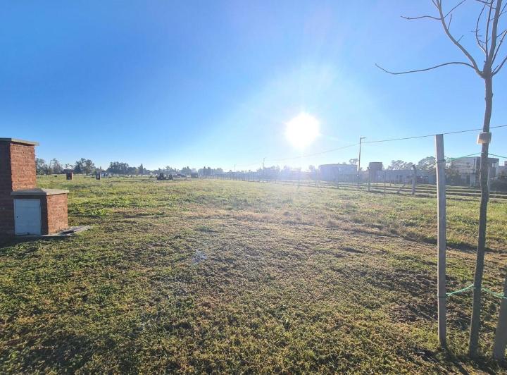 Terreno · 530m²