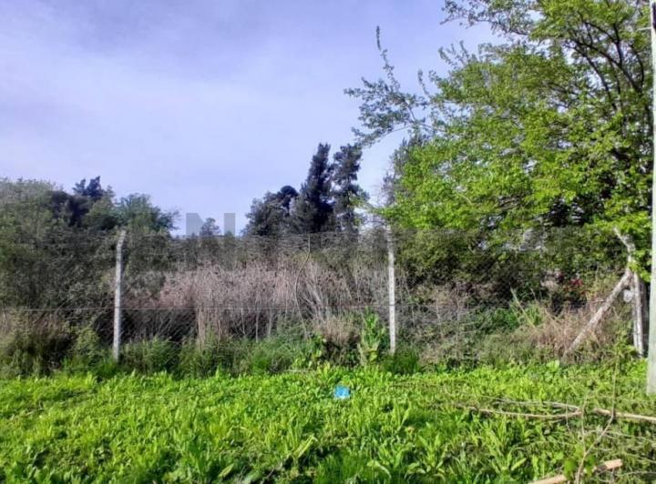 Terreno · 2024m²