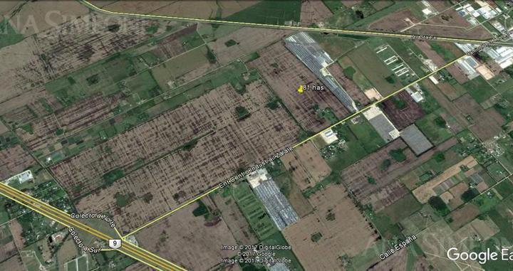 Terreno · 810000m² · 1 Ambiente