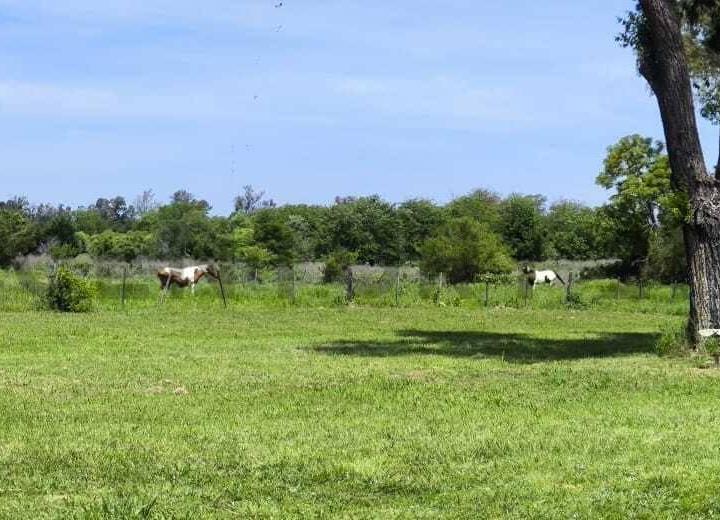 Terreno · 52m²