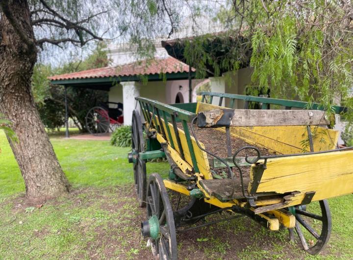 Terreno · 10000m²