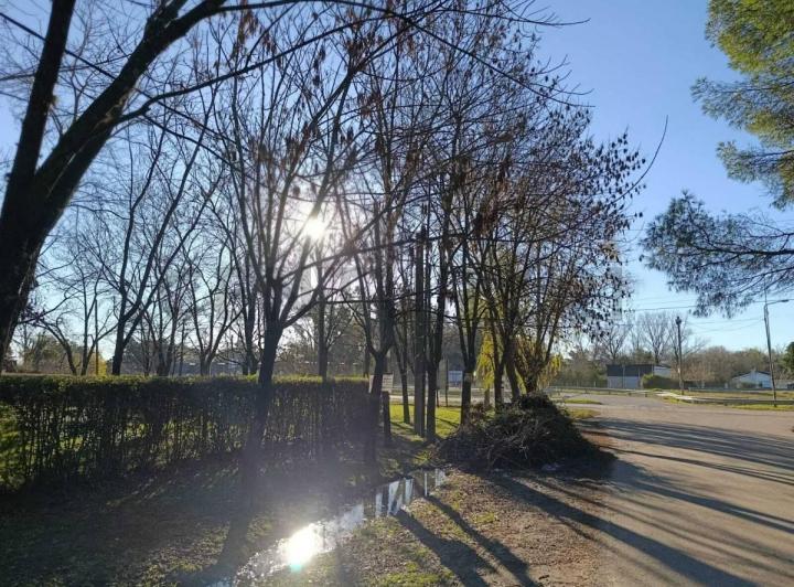 Terreno · 1650m²