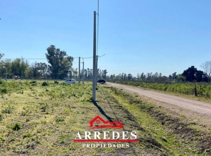 Terreno · 1571m²