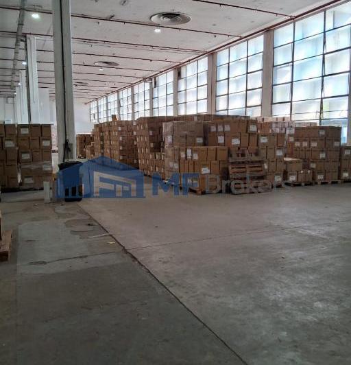 Bodega-Galpón · 1290m²