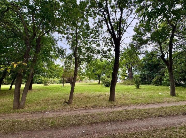 Terreno · 3125m²