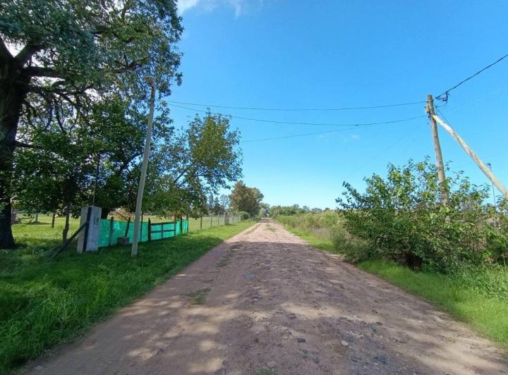 Terreno · 5000m²