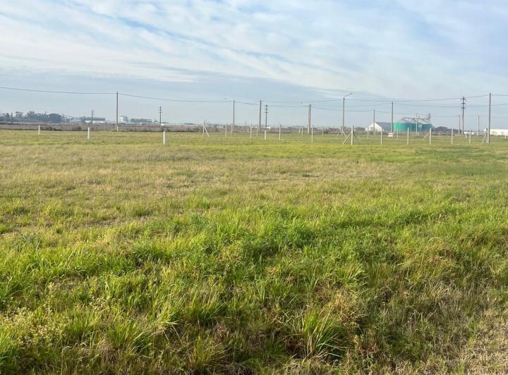Terreno · 624m²