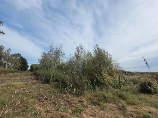 Terreno · 10000m²