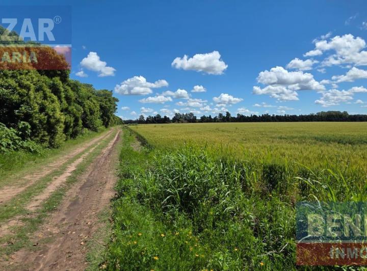 Campo · 10ha