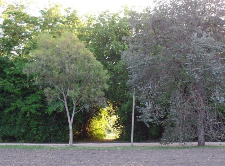 Terreno · 2000m²