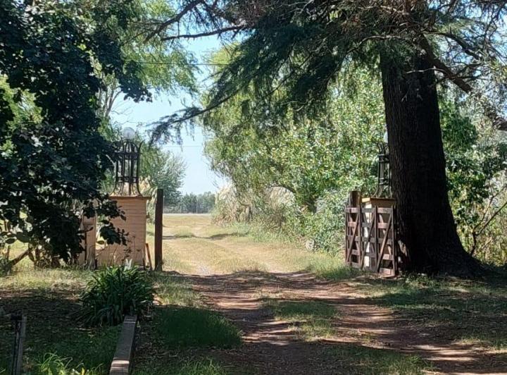 Campo · 300m² · 10 Ambientes · 2 Cocheras
