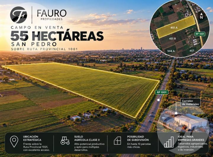 Campo · 55ha