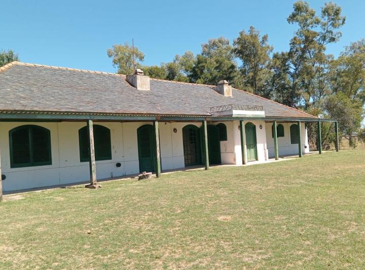 Campo · 1800ha