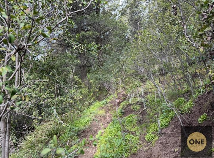 Terreno · 4070m²