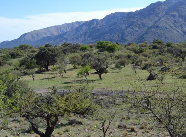 Terreno · 1647m²