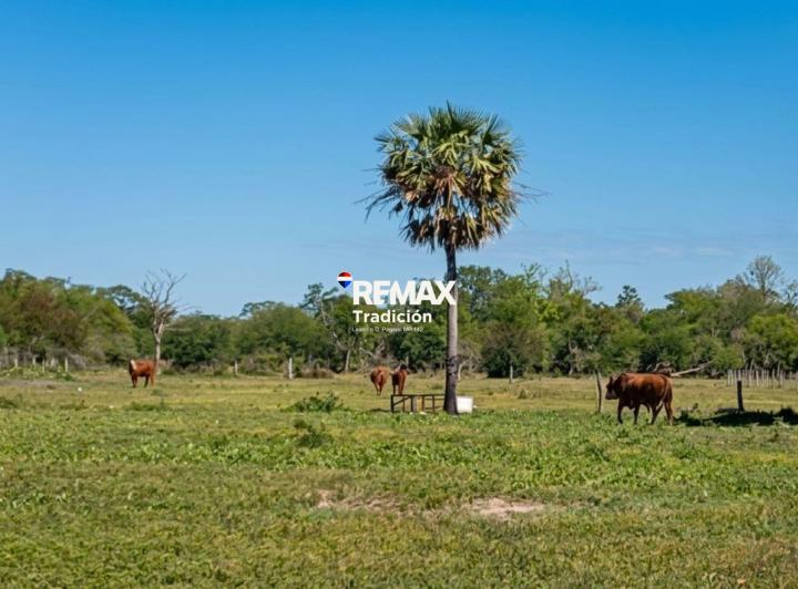 Campo · 589ha