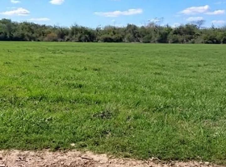 Terreno · 300m²