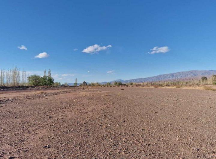 Campo · 8ha
