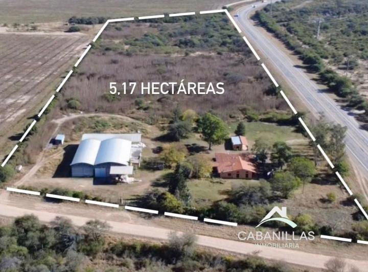 Campo · 5ha