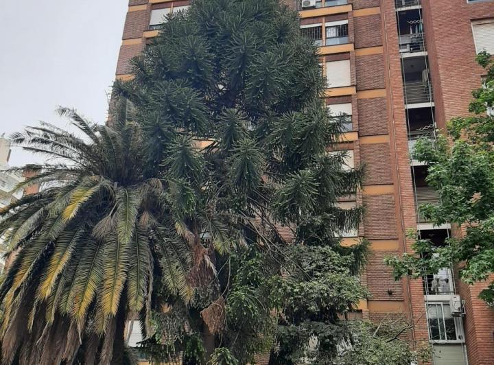 Departamento · 45m² · 2 Ambientes