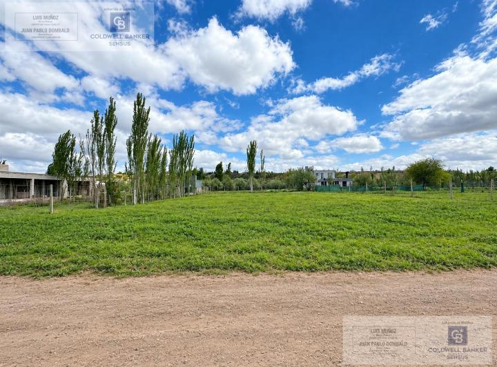 Terreno · 981m²