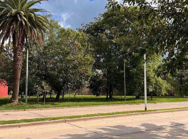 Terreno · 370m²