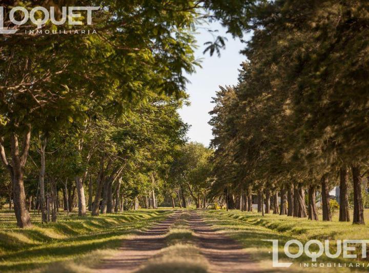 Terreno · 900m²