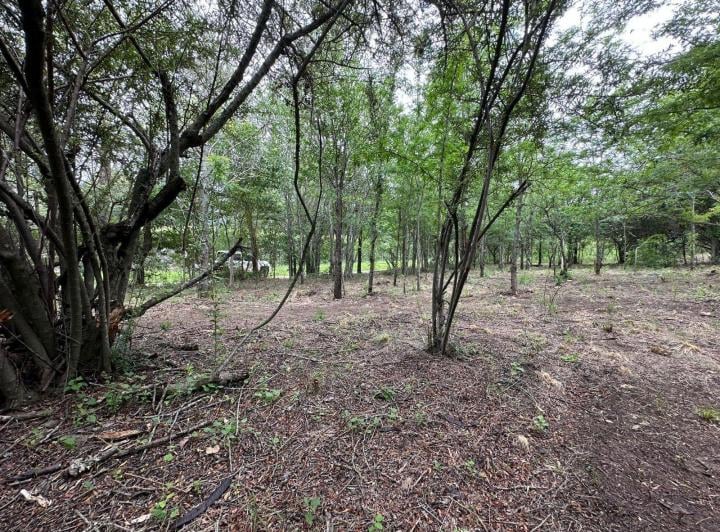 Terreno · 850m²
