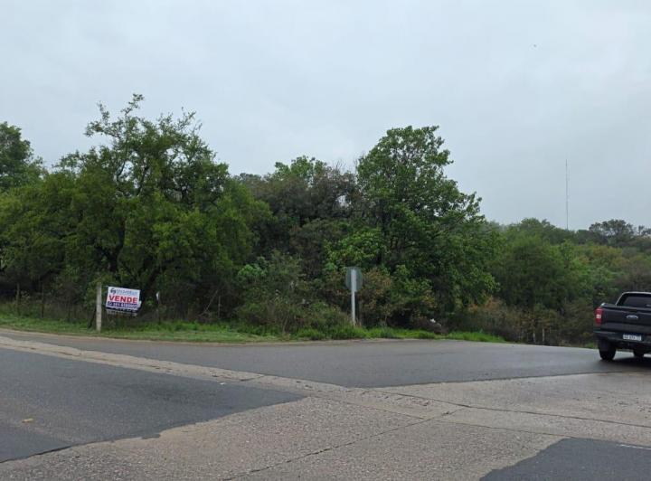 Terreno · 7765m² · 1 Ambiente