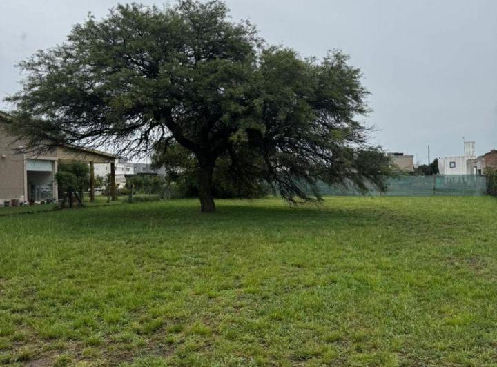 Terreno · 800m²