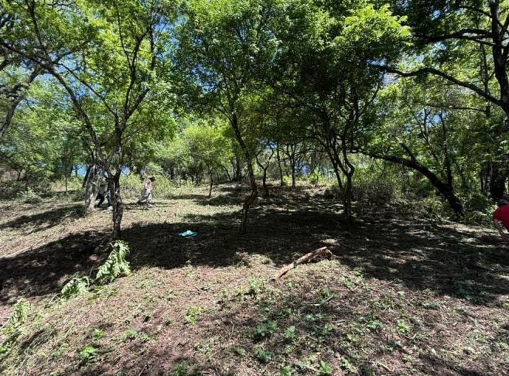 Terreno · 1300m²