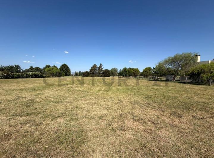 Terreno · 1233m²