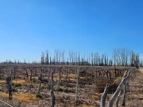 Campo en Venta en Costa de Araujo, Lavalle