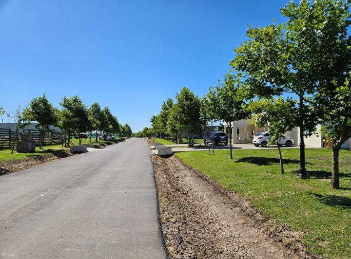 Terreno · 10000m²