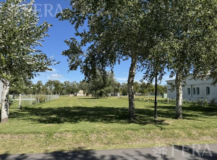 Terreno · 1000m²