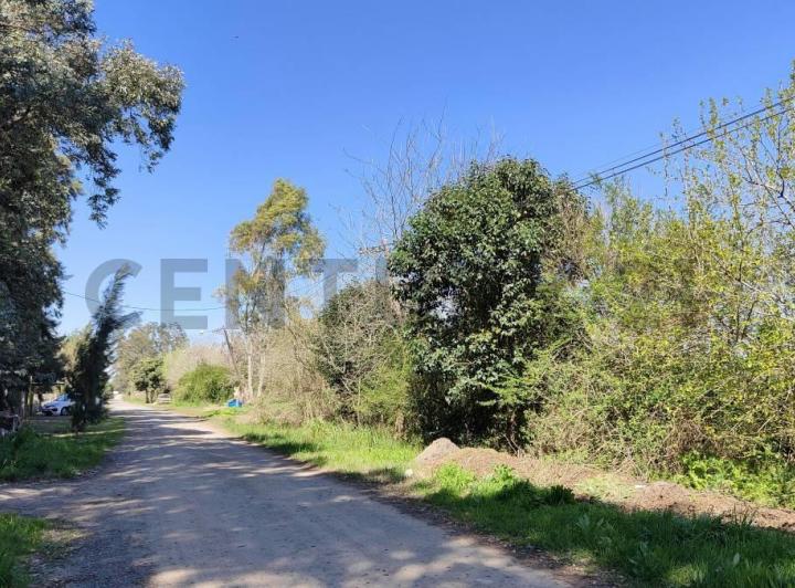 Terreno · 21950m²