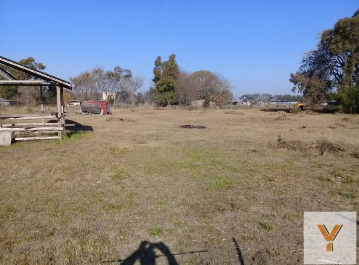 Terreno · 5000m²