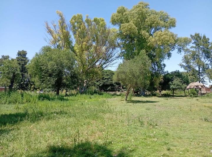 Terreno · 50m²