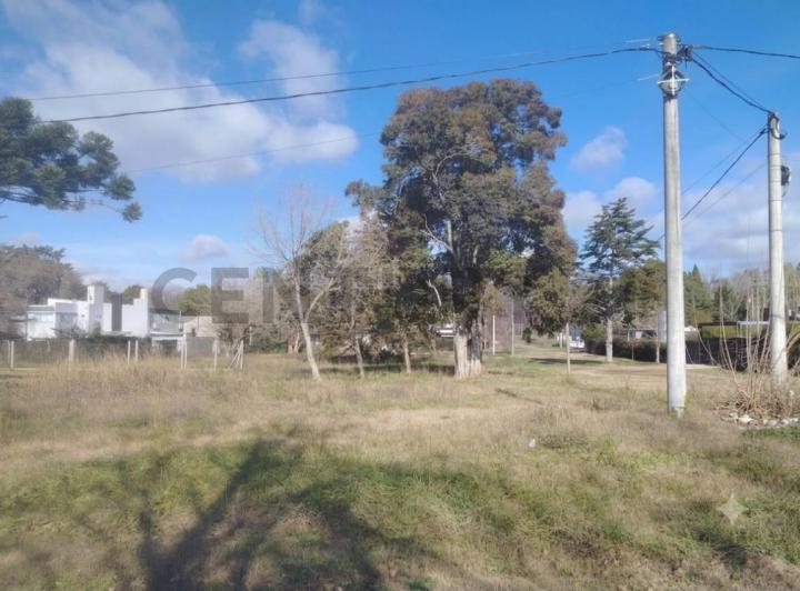 Terreno · 515m²
