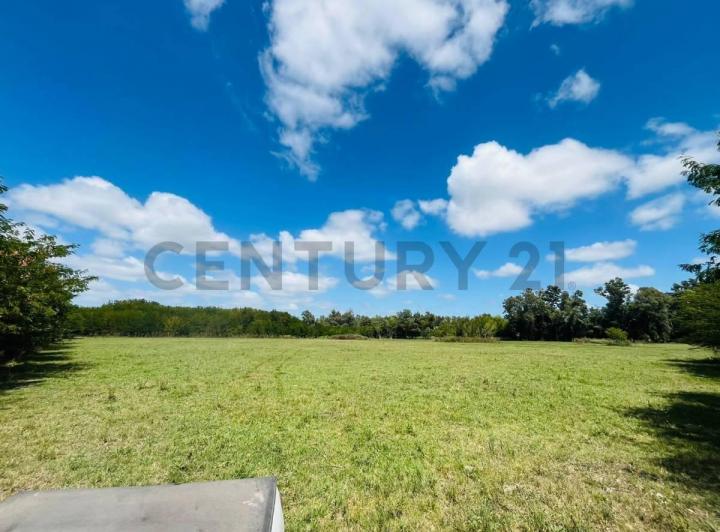 Terreno · 5000m²