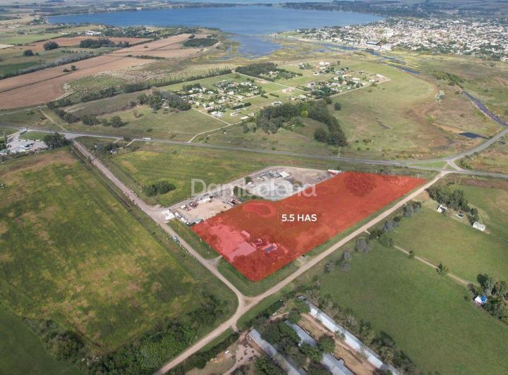 Terreno · 55000m²